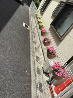 7728AE2E-6402-4270-9643-086584686590.jpeg