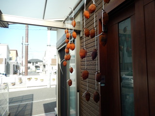 DSCN3108.JPG